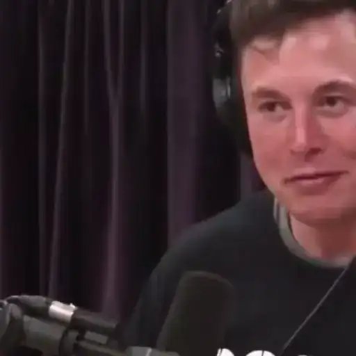 The great Elon Musk emotes 2 preview