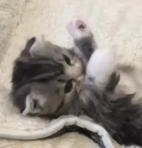 Sticker 🧖‍♀️