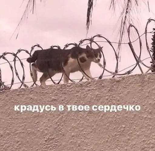 Sticker ❤️‍🩹