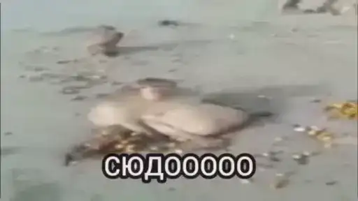 Братки от 1 preview