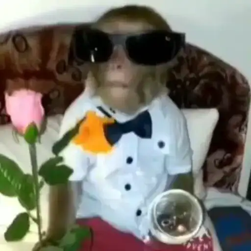 Братки от 1 preview