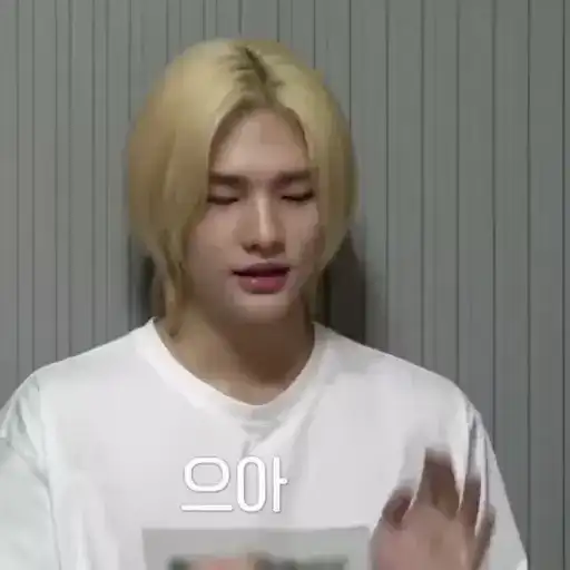 Hyunjin ⸝🎠 preview