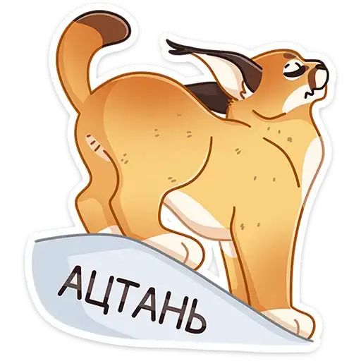 Сеймурр preview