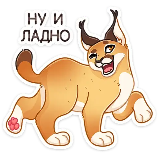 Sticker 😼