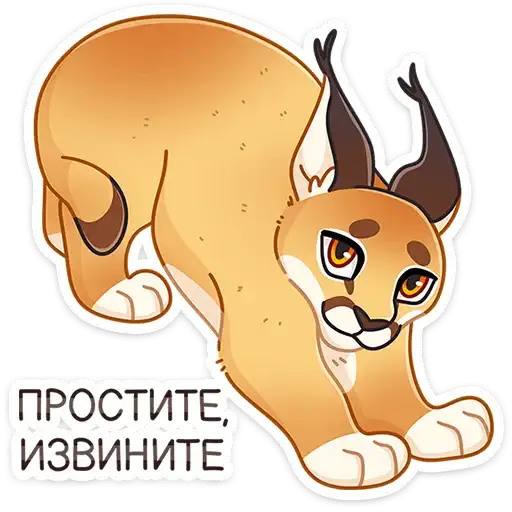 Sticker 😼