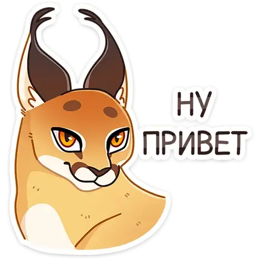 Сеймурр preview