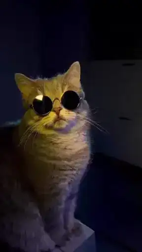 Me⭕️W >.< B⭕️T preview