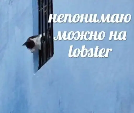 Sticker 🤷‍♂️