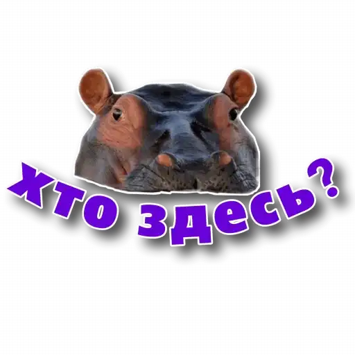 Behemoth has entered the chat preview