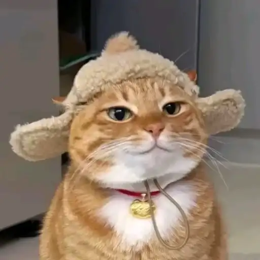 Котяры preview