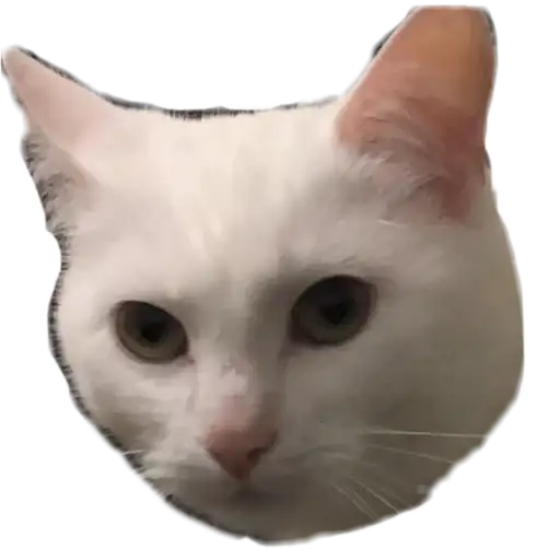 Bagdun’s Thomas preview