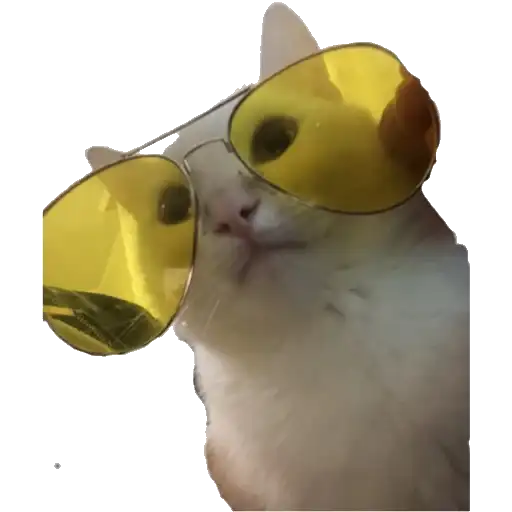 Bagdun’s Thomas preview