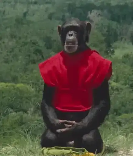 Sticker 🧘‍♂️