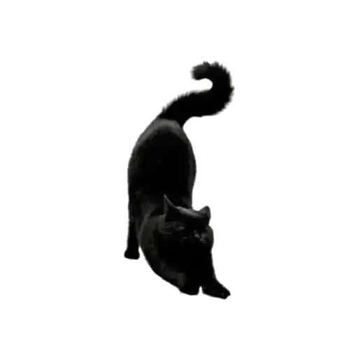 Witches Stuff preview