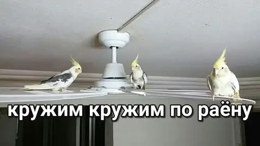 Sticker 🚶‍♀️