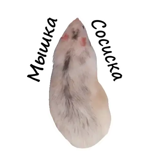 Sticker 🐀