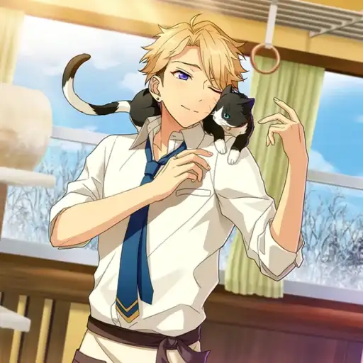 Sticker 🐈‍⬛️