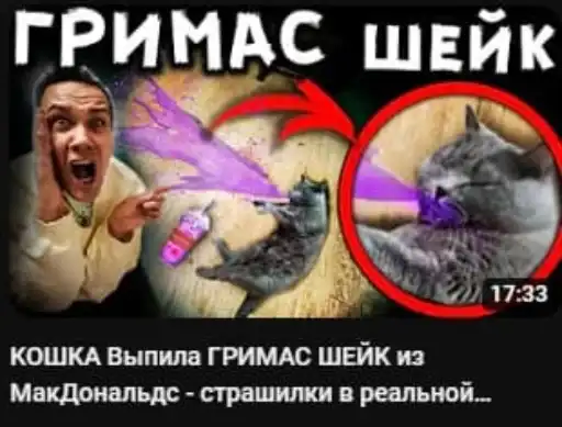 АЛЁ Я ВЕРА preview