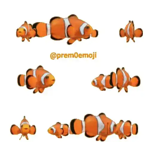 Рыбки ТТ preview