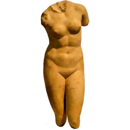 Sticker 🤸‍♀️