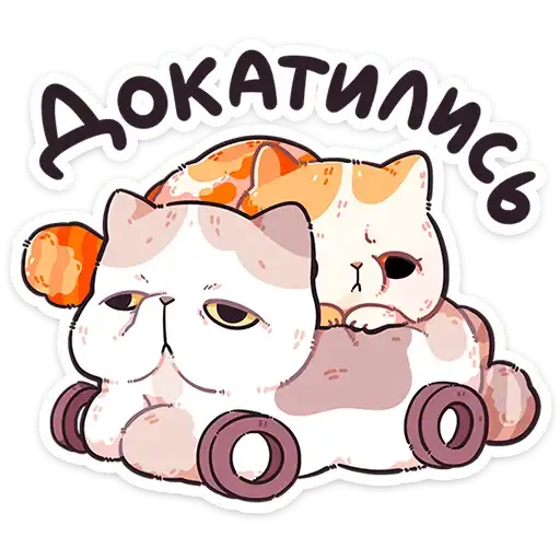 Sticker 🐱