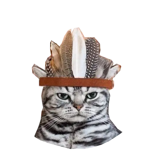 Cats in hats preview