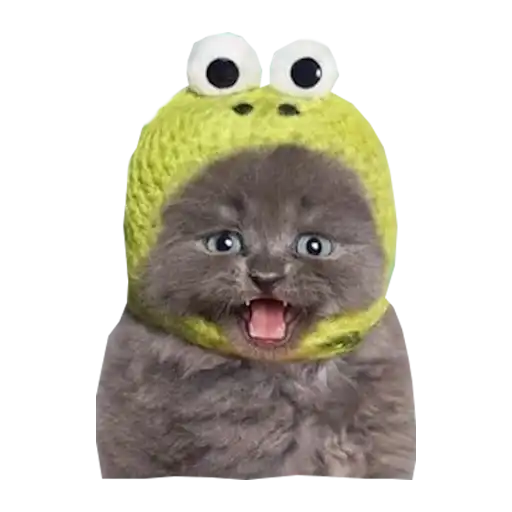 Cats in hats preview