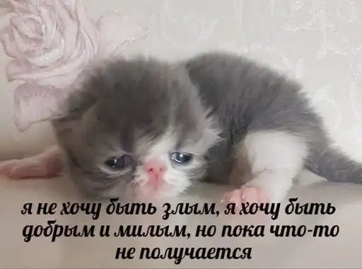 Sticker ❤️‍🩹