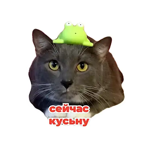 Sticker 😼