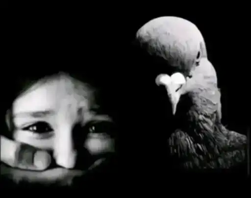 Голуб.png preview