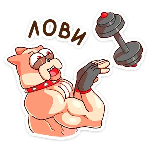 Sticker 🏋‍♀