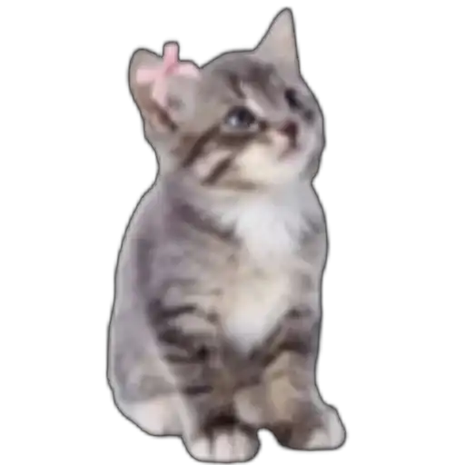 Sticker 🐱
