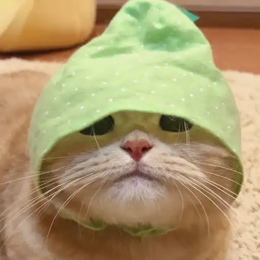 Sticker 🧙‍♂️