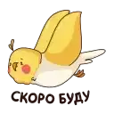 Sticker 🏃‍♂️