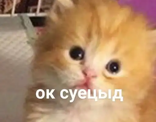 Ебучие животные preview