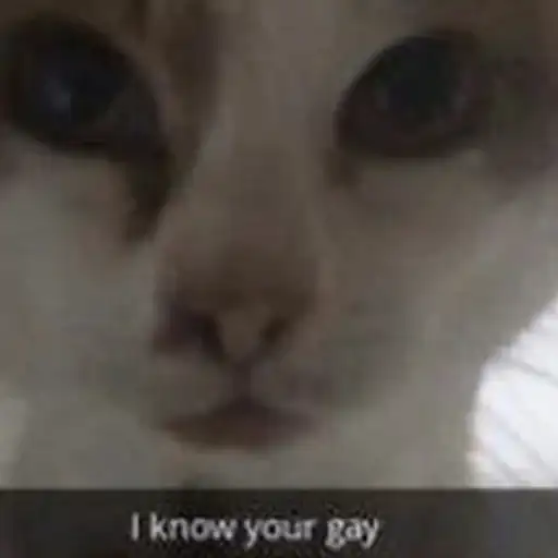 Sticker 🏳️‍🌈