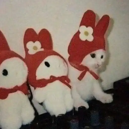 Пуссис preview