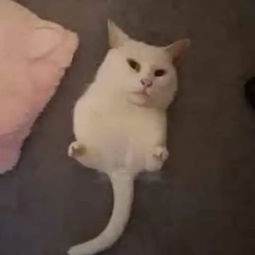 Пуссис preview