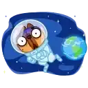 Harry The Frenchie preview