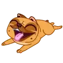 Harry The Frenchie preview