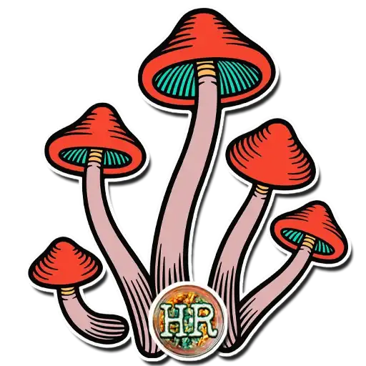 Sticker 🍄