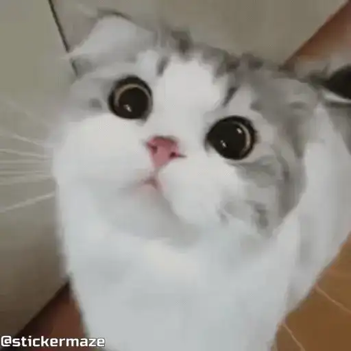 Sticker 😺