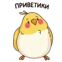 Птенчик preview