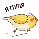 Птенчик preview