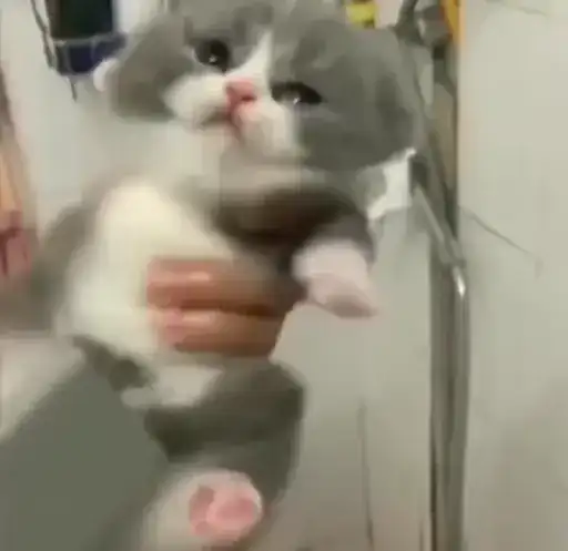 Sticker 😶‍🌫️