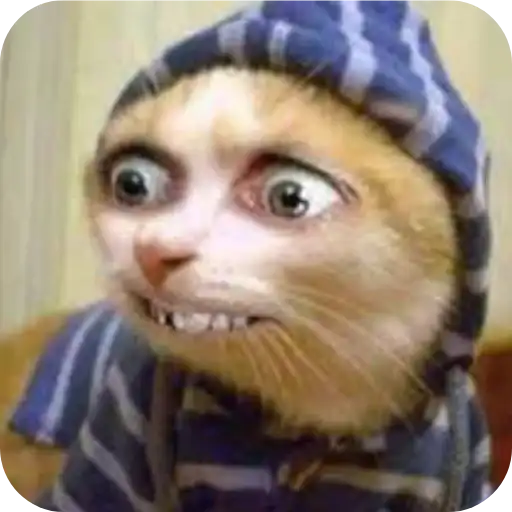 Group Chatting preview