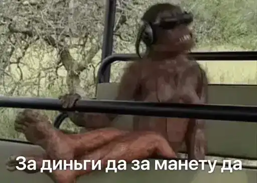 Бибизьянки preview