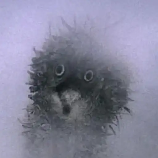 Ёжик в тумане preview