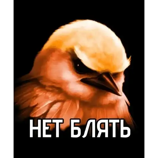 Sticker 🙂‍↕️