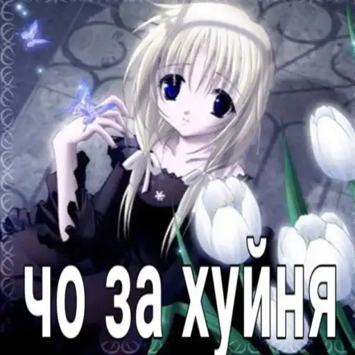 Строго для няшки🚨 preview